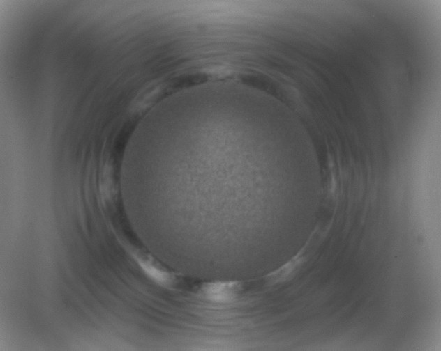 X0000082990136200702011439