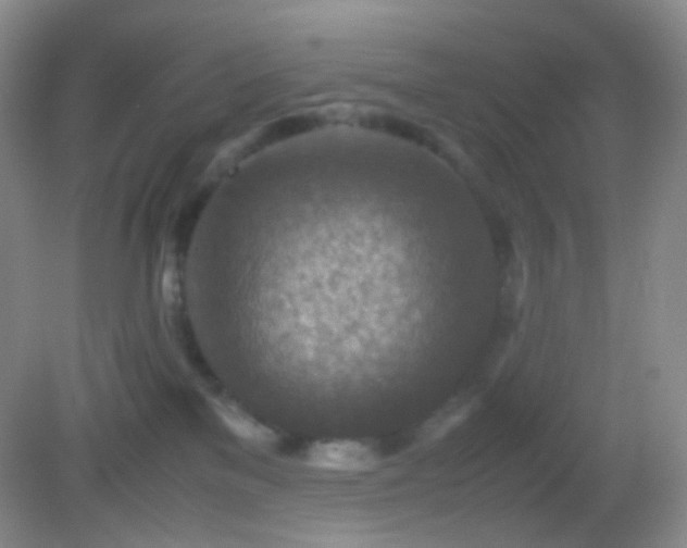 X0000082990137200702011439