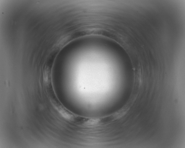 X0000082990138200702011439