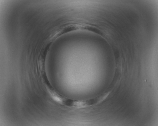 X0000082990139200702011439