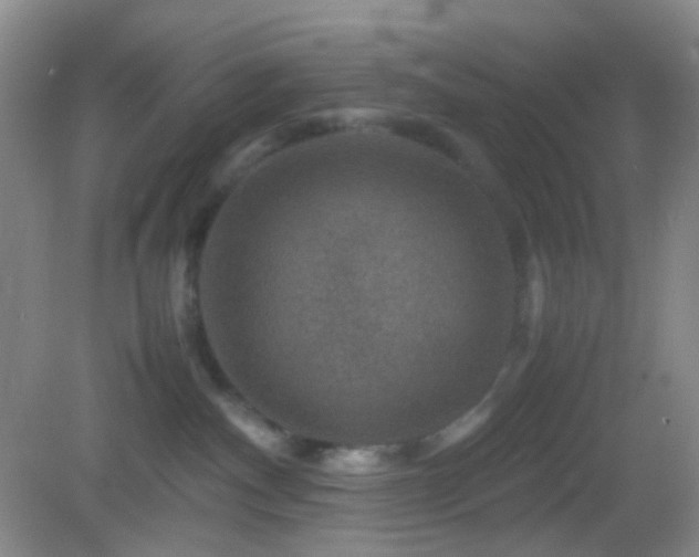 X0000082990140200702011439