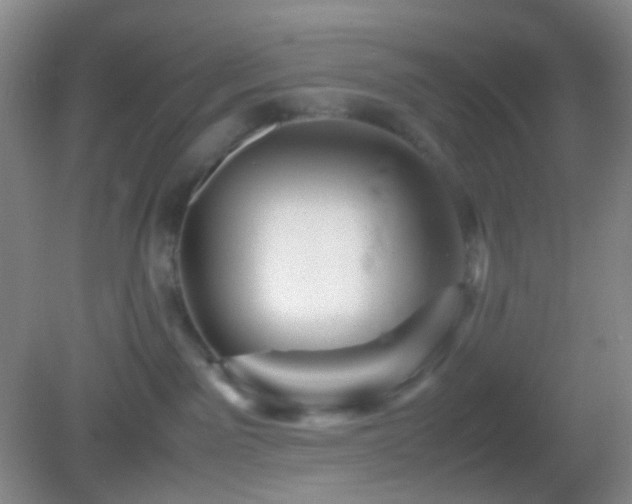 X0000082990141200702011439