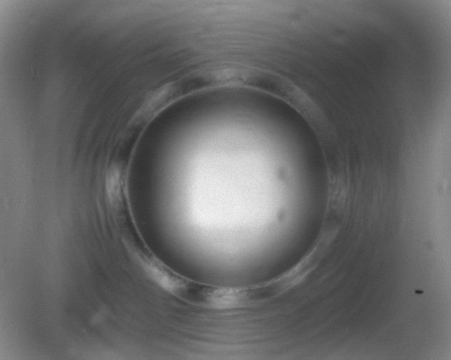 X0000082990142200702011438