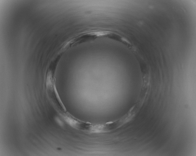 X0000082990143200702011438