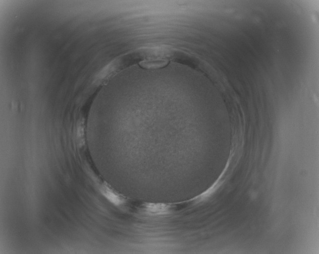 X0000082990144200702011438