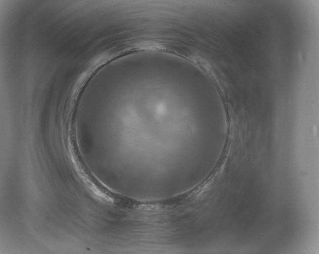 X0000082990145200702011438