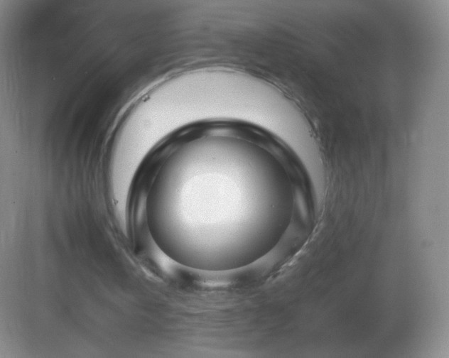 X0000082990146200702011438