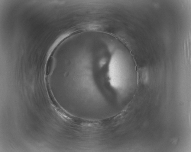 X0000082990147200702011438