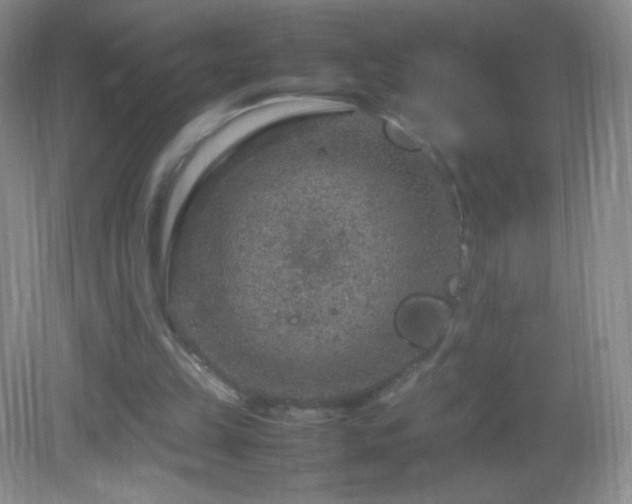 X0000082990149200702011438