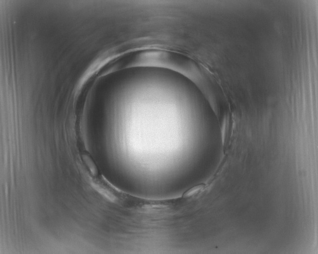 X0000082990150200702011438