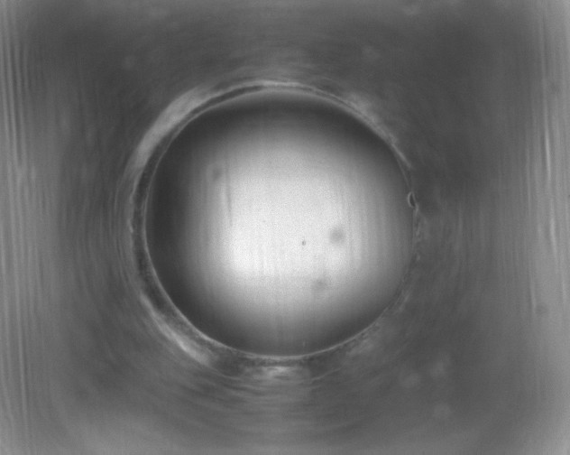 X0000082990151200702011438