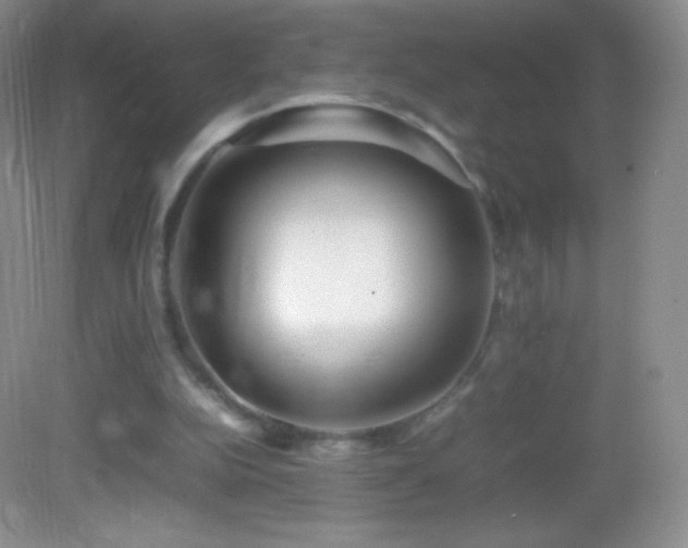 X0000082990152200702011438