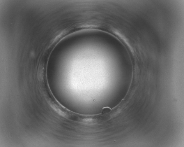 X0000082990153200702011438