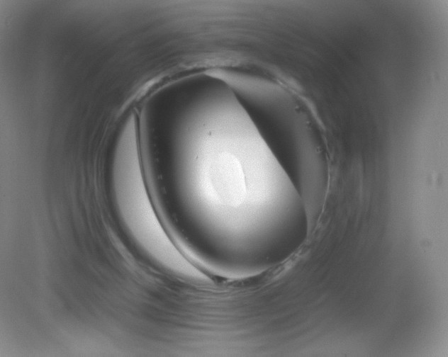 X0000082990154200702011438