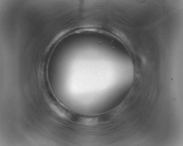 X0000082990155200702011438