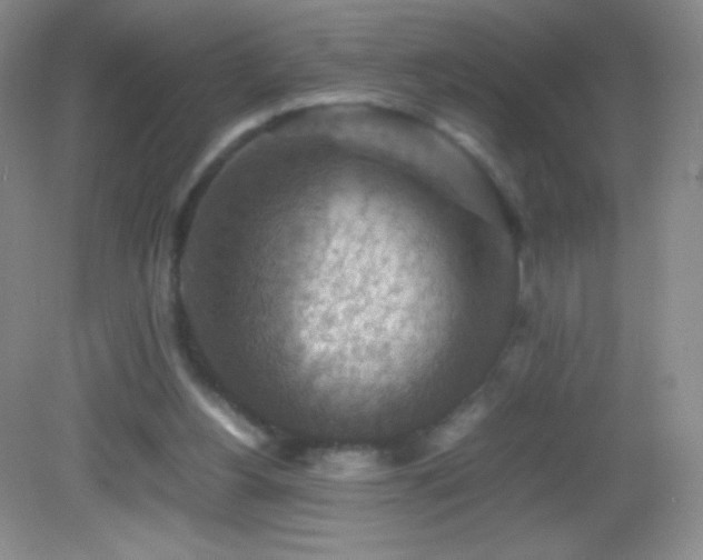 X0000082990156200702011438