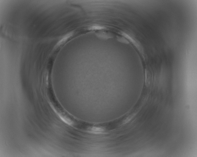 X0000082990157200702011438