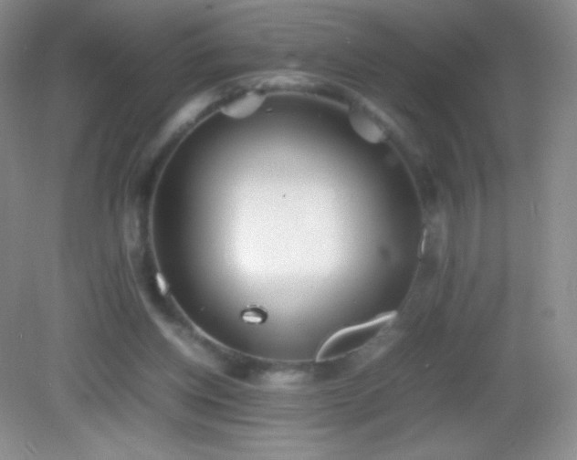 X0000082990158200702011438