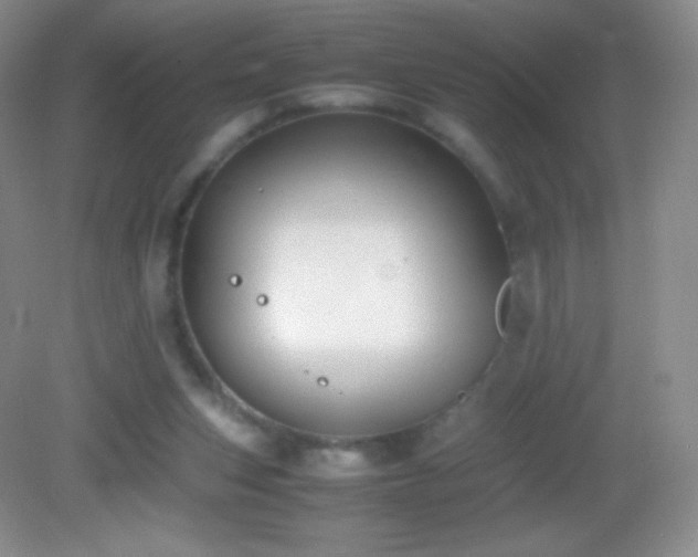 X0000082990159200702011438