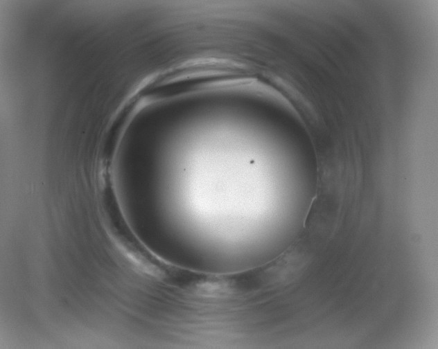 X0000082990160200702011438