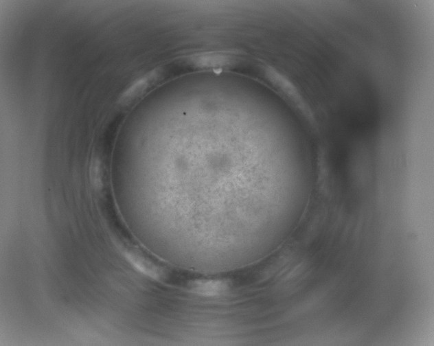 X0000082990161200702011438