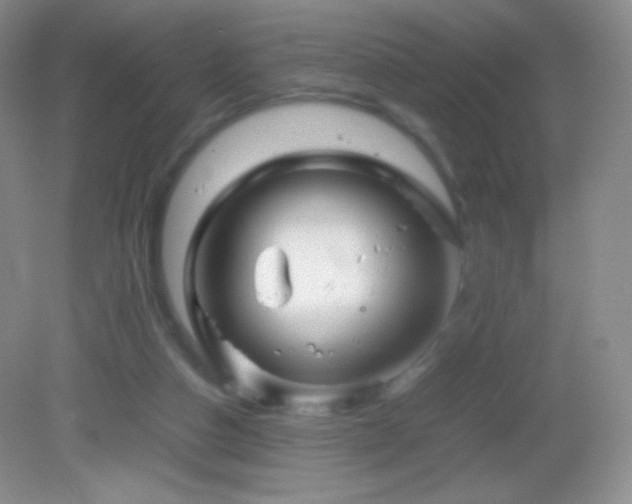 X0000082990162200702011438