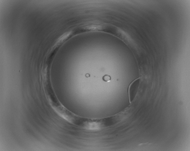 X0000082990163200702011438