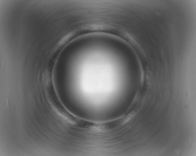 X0000082990164200702011438