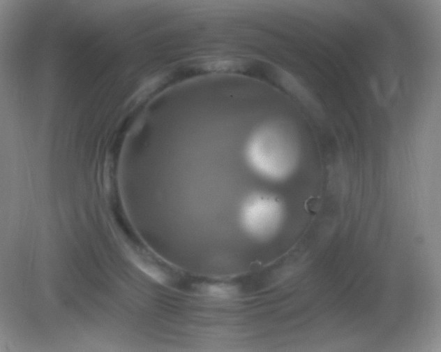 X0000082990165200702011438