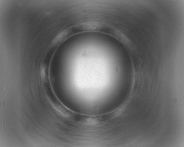 X0000082990166200702011438