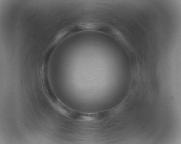 X0000082990167200702011438