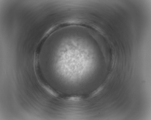 X0000082990168200702011438