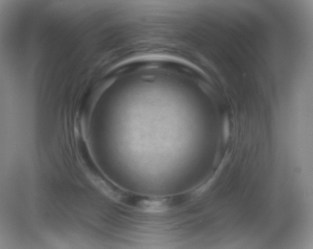 X0000082990170200702011438