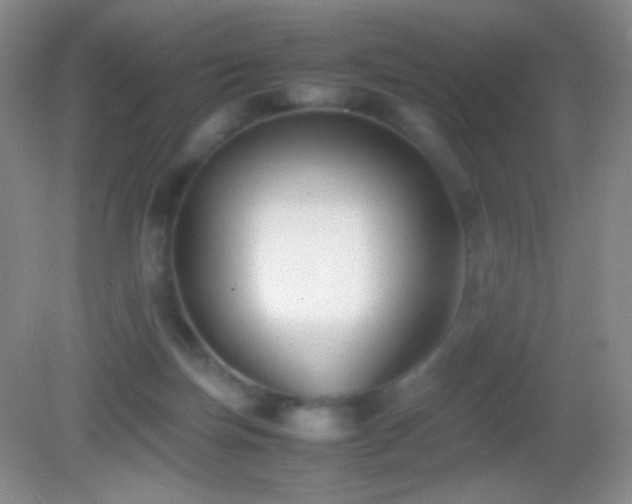 X0000082990171200702011438