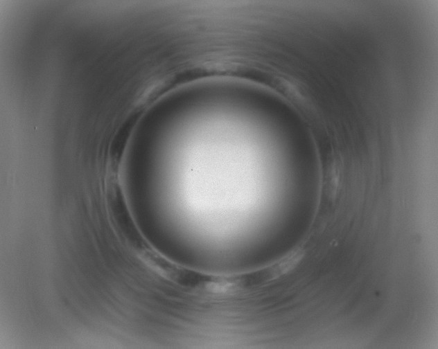 X0000082990172200702011438