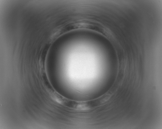 X0000082990173200702011438