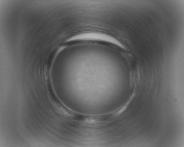 X0000082990174200702011438