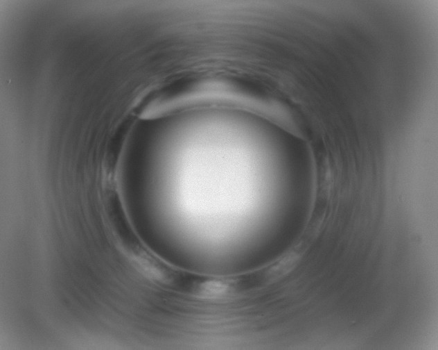 X0000082990176200702011438