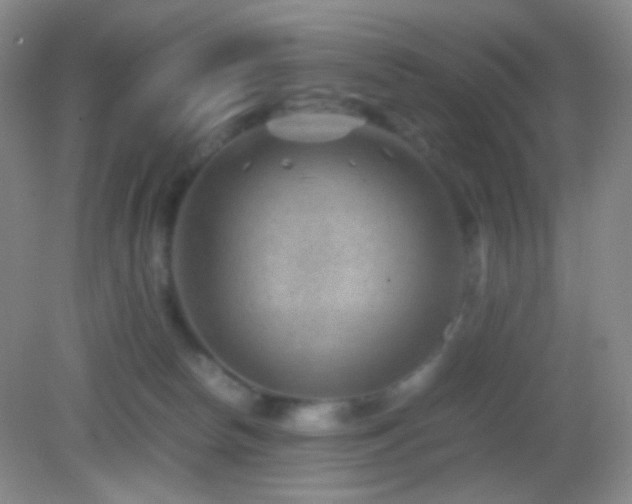 X0000082990178200702011438