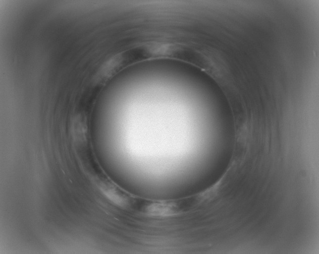 X0000082990179200702011438