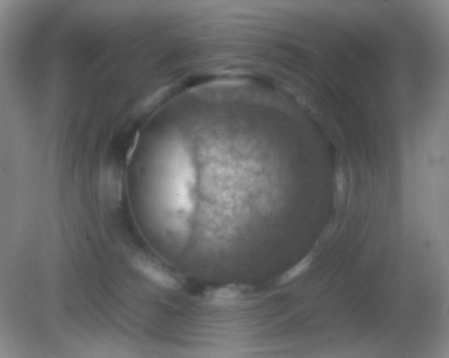 X0000082990180200702011438