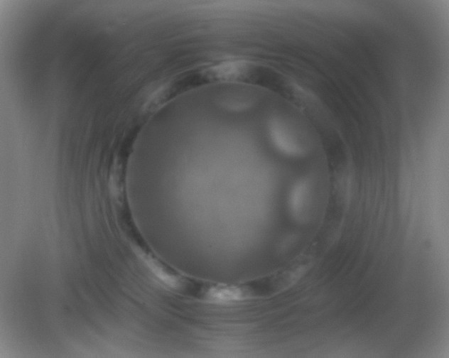 X0000082990181200702011438