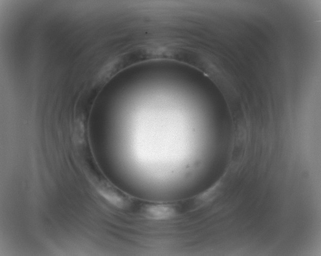 X0000082990183200702011438