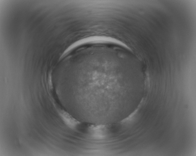 X0000082990186200702011438