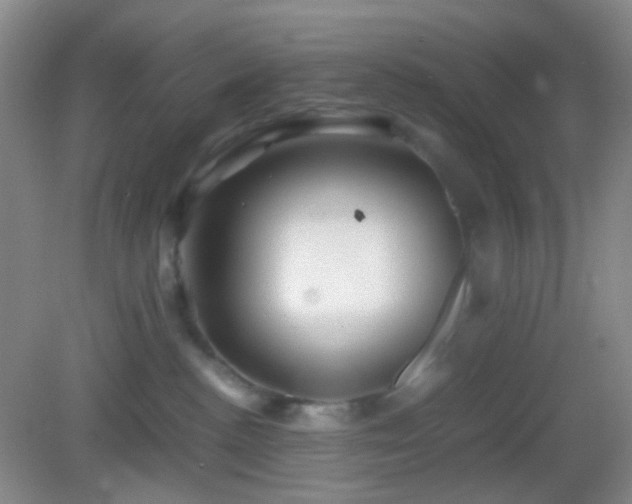 X0000082990188200702011438