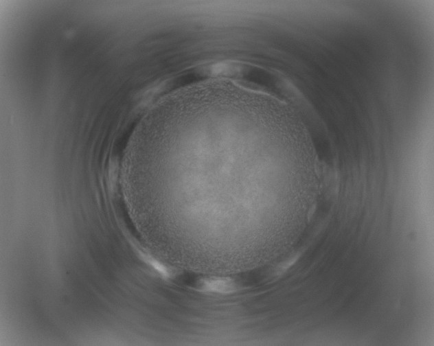 X0000082990189200702011438