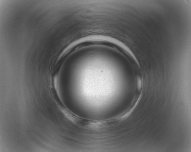 X0000082990190200702011438