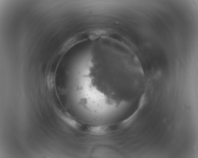 X0000082990191200702011438