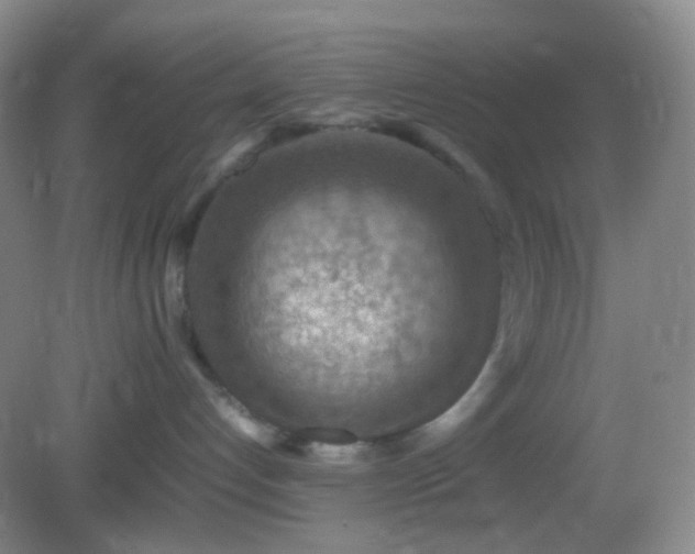 X0000082990192200702011438