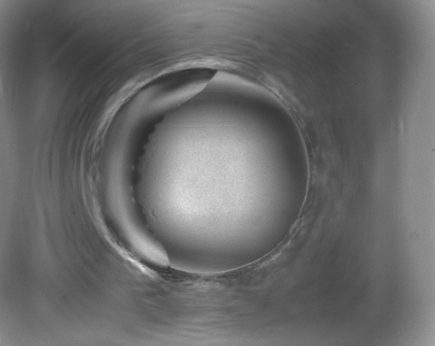 X0000082990193200702011438